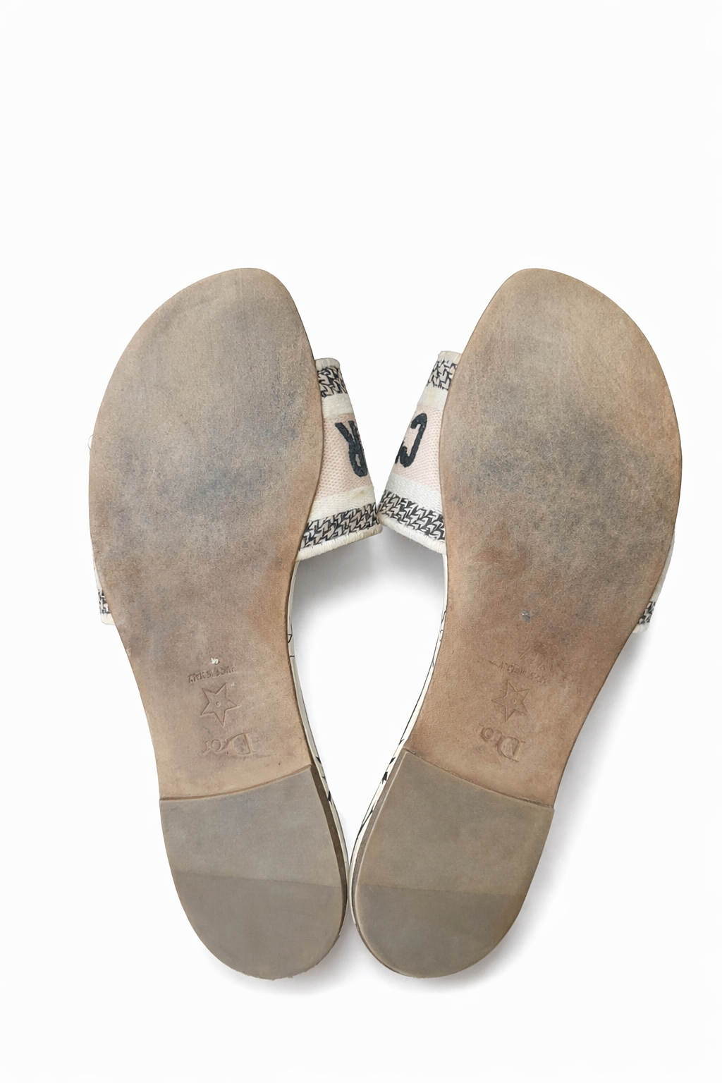 Christian Dior Dway Floral Embroidered Slides