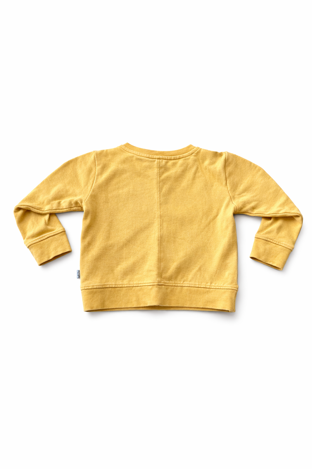 Stella McCartney
Bear Print Sweatshirt in Organic Cotton